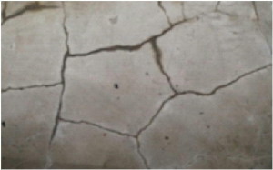 床のモルタルが亀甲状に割れて、雨水が侵入した形跡が見られます。